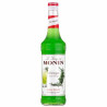 Monin Tarragon syrop estragonowy 700ml